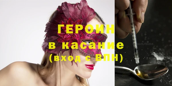 прущие грибы Аркадак