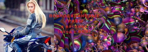 спайс Арсеньев