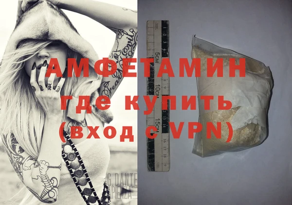 прущие грибы Аркадак