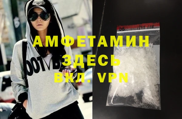 прущие грибы Аркадак