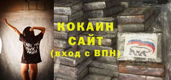 спайс Арсеньев