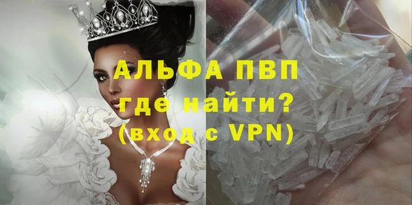 спайс Арсеньев