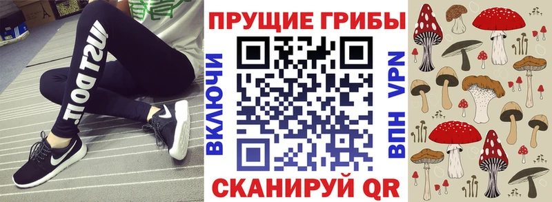 KRAKEN как зайти  Кумертау  Псилоцибиновые грибы Cubensis 